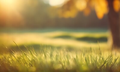 Poster - Abstract nature blurred backdrop