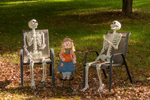 These Halloween Decorations Were Set Out On The Yard To Get Into The Spirit Of The Holiday. The Two Skeletons Look To Be Having A Party With The Scarecrow In The Center. Brown Leaves On The Ground.