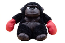 Stuffed Gorilla Boxer With Angry Face And Red Boxing Gloves On A Transparent Background. Boxing And Fighting Concept