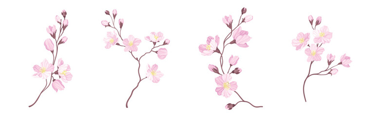 Canvas Print - Blooming Cherry Branches with Tender Pink Flower Blossom Vector Set