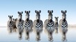  a group of zebras are standing in the water together.  generative ai
