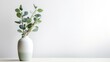 Green eucalyptus flower in vase isolated on white background