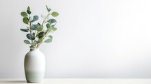 Green Eucalyptus Flower In Vase Isolated On White Background