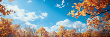 Autumn Leaves At The Trees And Sky Background As Banner