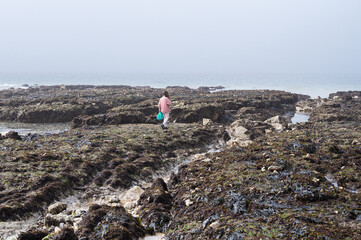 Wall Mural - Child rock pooling at Hope Gap Beach between Seaford and Eastbourne, East Sussex. Beach and sea in foggy morning