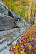 old stone wall with autumn leaves