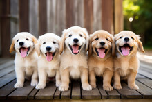 Little Cute Puppies Lined Up In A Row. Ai Generative