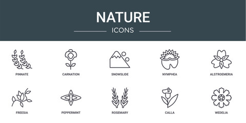 Wall Mural - set of 10 outline web nature icons such as pinnate, carnation, snowslide, nymphea, alstroemeria, fre