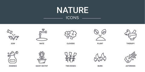 Wall Mural - set of 10 outline web nature icons such as sow, wate, clovers, plant, therapy, essence, daisy on pot