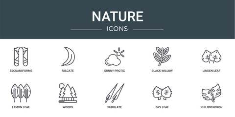Wall Mural - set of 10 outline web nature icons such as escuamiforme, falcate, sunny protic, black willow, linden