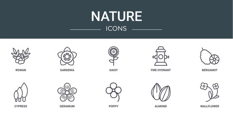 Wall Mural - set of 10 outline web nature icons such as rowan, gardenia, daisy, fire hydrant, bergamot, cypress, 