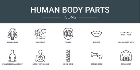 Wall Mural - set of 10 outline web human body parts icons such as human ribs, skin cells, tonsil, big lips, close