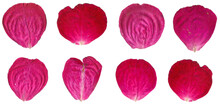 Romantic Red Rose Petals Set: 8 Real Dried Flowers On Transparent Background. Ideal For Scrapbooking And Floral Art Projects. PNG High Resolution