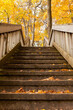 wooden stairs in autumn park