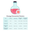 Energy conversion factors education physical chemistry vector infographic