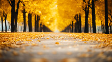 Autumn Landscape With Yellow Leaves On The Road In The Park.