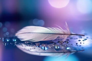 Poster - Drops of water on feather on mirror surface macro with beautiful blurred background,pink and violet wallpaper background about dew on the feather