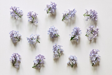 Sticker - Beautiful flower arrangement. Delicate lilac flowers on a light white background. Wedding, birthday. Valentine's day, mother's day. Top view