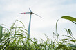 Wind turbine in a field for sustainable energy and against climate change and global warming