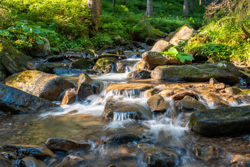 Wall Mural - Small mountain stream flows between rocks in forest. Bright morning in the mountains, fast stream illuminated by rising sun