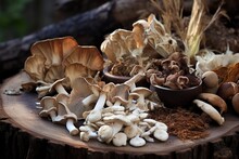 A Variety Of Dried Medicinal Mushrooms