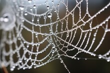 Close-up Of Frozen Dew Drops On A Spider Web