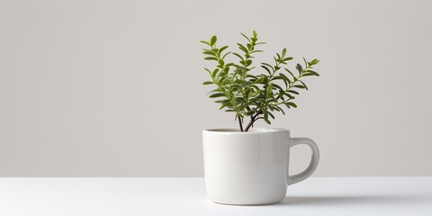 Wall Mural - Closeup mockup of small artificial tree in white ceramic mug. alone on white.