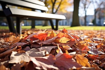 Wall Mural - pile of autumn leaves on a sunny park bench