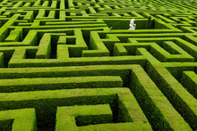 Green labyrinth maze