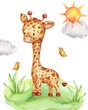 Cute little giraffe and butterfly; watercolor  hand drawn illustration
