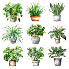 Watercolor Houseplant Elements. Set Of Clipart Indoor Plant Elements. Pothos, Aloe Vera, Snake Plant, Spider Plant, Chinese Money Plant, Peace Lily, Monstera, ZZ Plant, Rubber Plant.