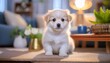 © uumm - 可愛い子犬