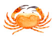 Watercolor red crab. Hand-drawn illustration isolated on the white background