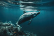 Plastic Pollution In Ocean, Sea. Dolphin Eat Plastic. Fish entangled in waste dumped into the water by humans. Earth day