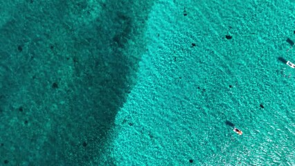 Wall Mural - coast as a background from top view. waves and beach. aerial landscape. azure water background from 