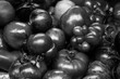 Heirloom organic imperfect tomatoes at local farmer market in France. Natural vegetable food background. Black and white photo.