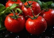 tomatoes deep droplets black surface fine details red specular bright vivid color hues dewy skin slimy hot full