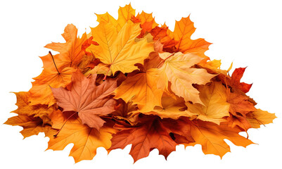 a pile of autumn colorful leaves isolated on a transparent or white background, png
