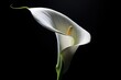  a white flower with a green stem on a black background.  generative ai