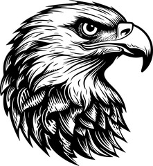 Eagle head woodcut drawing vector illsutation