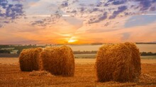 Summer Wheat Fieldwith Haystack After A Harvest At The Sunset Time Lapse Scene