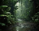 Fototapeta Natura - Beautiful lush rainforests in Central America.