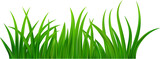 Fototapeta Panele - Green grass meadow border