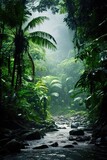 Fototapeta Las - Beautiful lush rainforests in Central America.