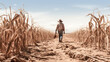 A farmer walks through a failed corn crop, with stalks wilting and brown. The dry soil and lack of rain have caused this disaster.