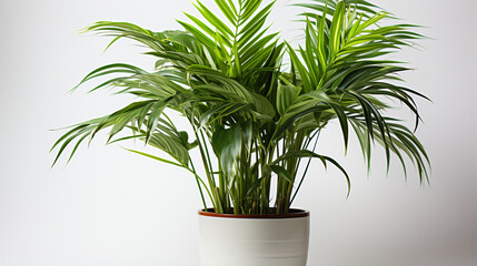 Poster - blank white card with eucalyptus branch, eucalyptus leaves and vase on light grey background. copy space for text.