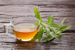 Aloysia citrodora - Lemon verbena hot drink - Organic lemon verbena fresh plant