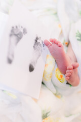 Wall Mural - A closeup of a newborn's two feet with the toes and bottom of feet next to his/her newborn footprint from the hospital.