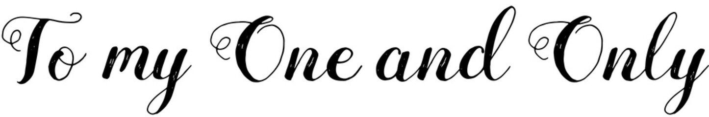 Wall Mural - digital png illustration of to my one and only text on transparent background