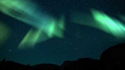 Wall Mural - Aurora Green and Milky Way Galaxy Mountains Forest Loop